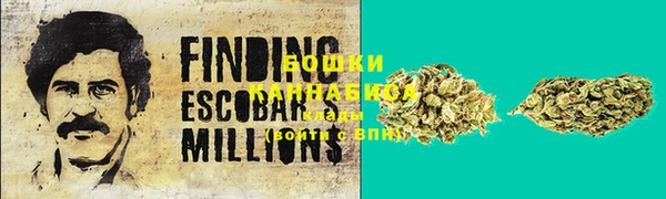 гашик Магас