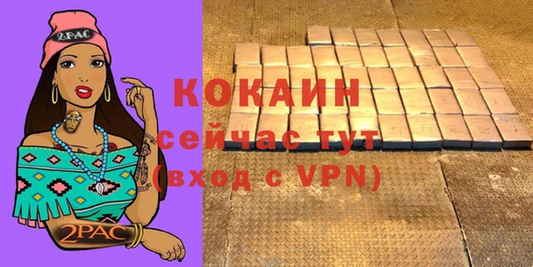 гашик Магас