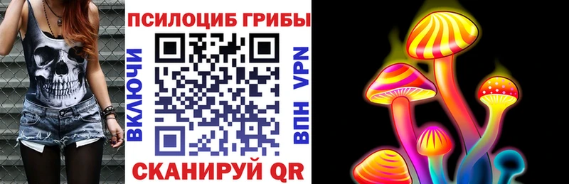 Купить закладки  Волгодонск  Галлюциногенные грибы GOLDEN TEACHER 